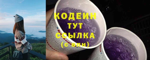 Альфа ПВП Дмитриев
