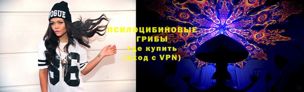 Альфа ПВП Дмитриев