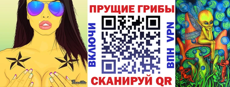 Купить  Льгов  Галлюциногенные грибы Cubensis 