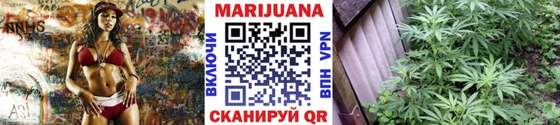 Бошки марихуана OG Kush  Купить где  Льгов 